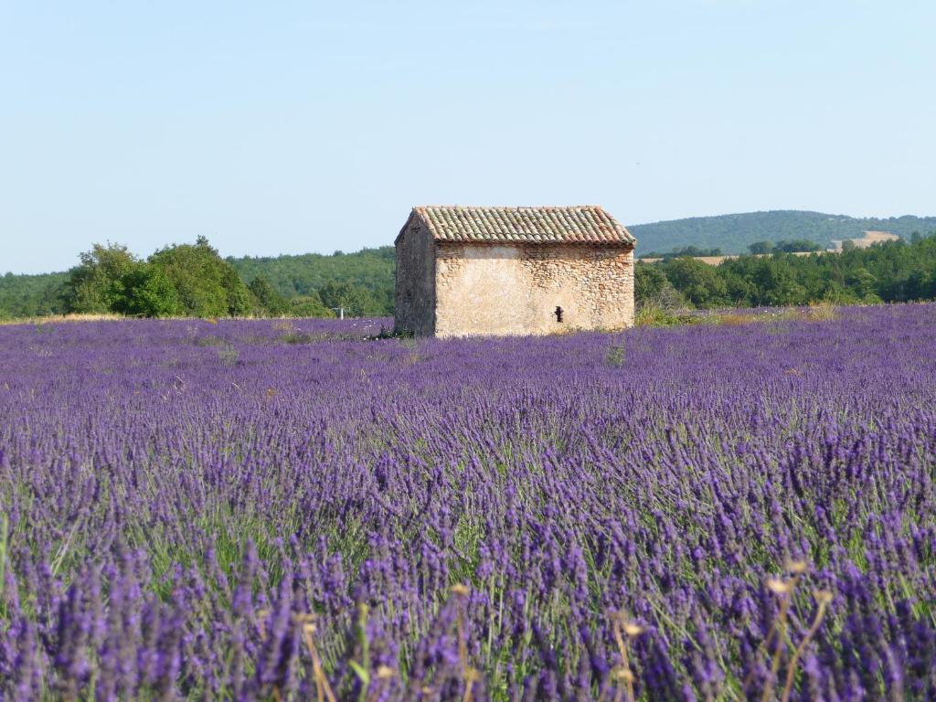 Residence Les Peupliers Loriol-du-Comtat Bagian luar foto