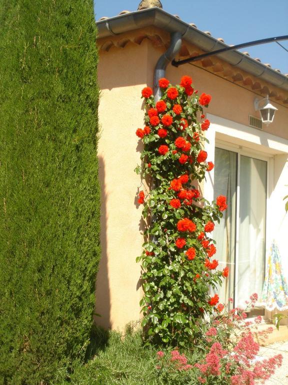 Residence Les Peupliers Loriol-du-Comtat Bagian luar foto